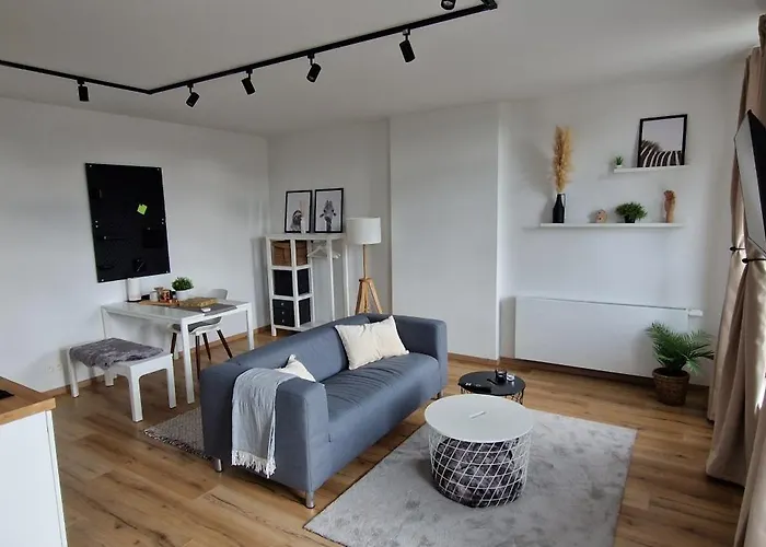 Charleroi Cozy Home
