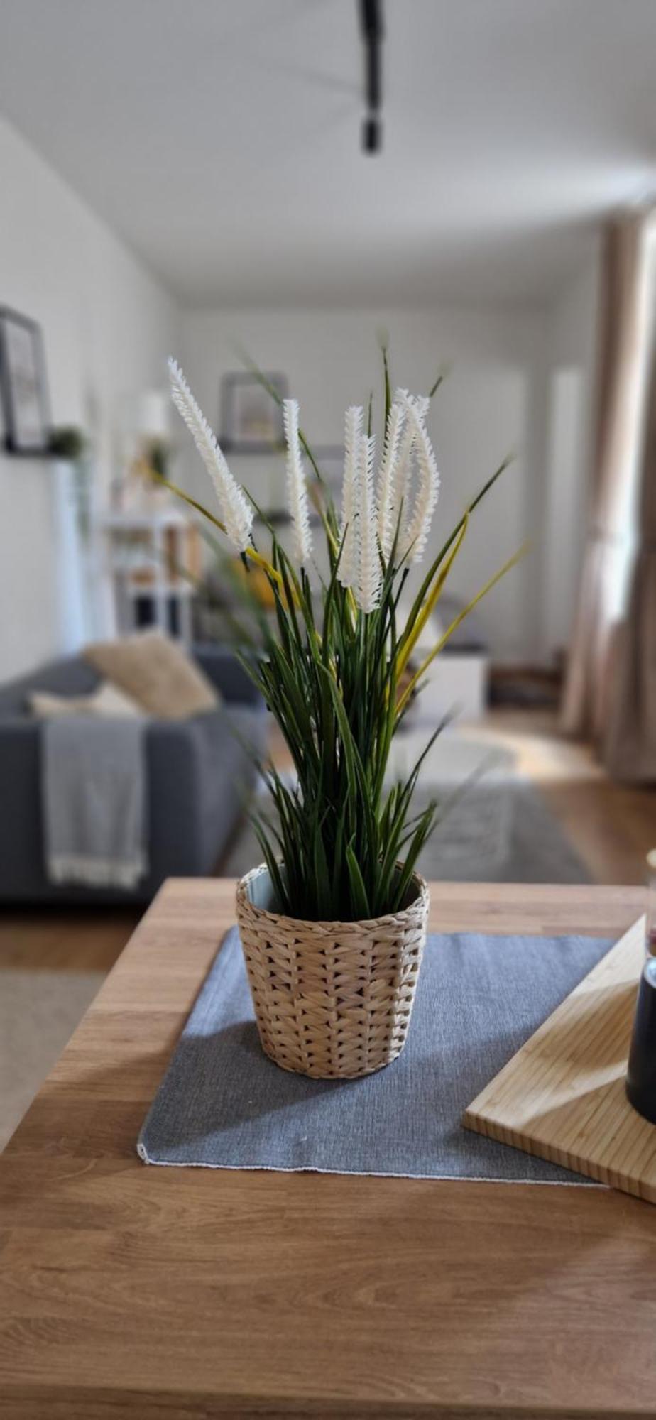 Appartement Cozy