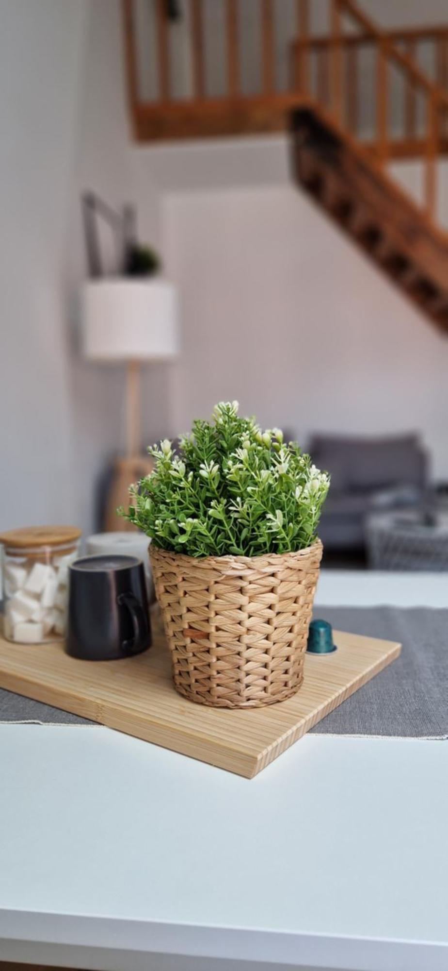 Appartement Cozy